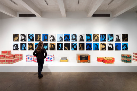 Photo of a Chatham University media arts student standing in front of an art installation at the Andy Warhol museum in Pittsburgh.